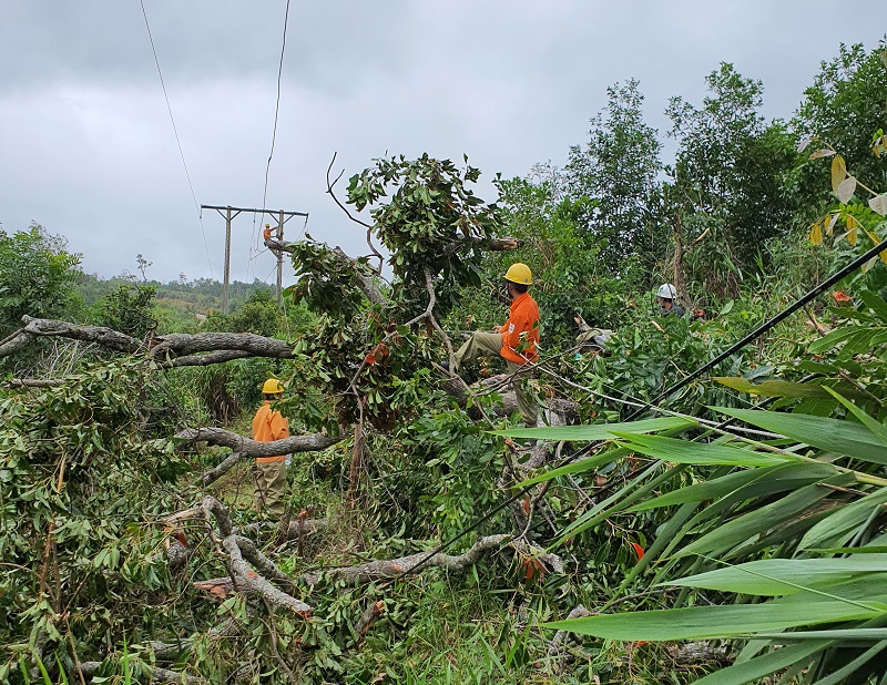 Khắc phục sự cố đường điện tại Đắk Lắk bị ảnh hưởng bởi bão số 5